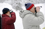Tasavallan presidentti Tarja Halonen osallistui BirdLife Suomen edustajien opastuksella lintujen pihabongaukseen Mäntyniemessä lauantaina 22. tammikuuta 2011. Kuva: Lehtikuva